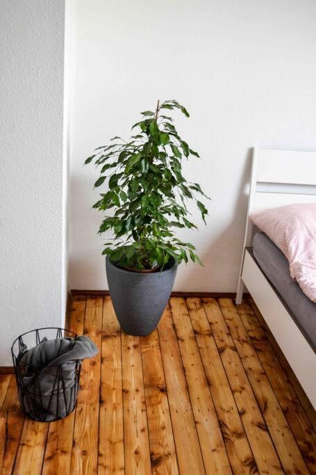 Schoene Dachgeschosswohnung Nahe Koeln Екстериор снимка